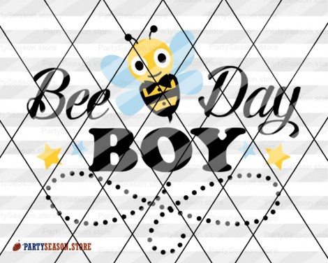 bee day boy 12 Party season